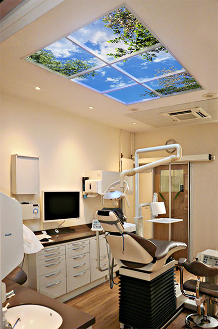 Michel Abbou DDS