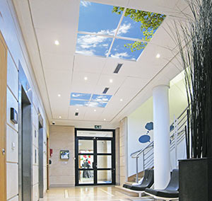 Lobby Hall XL Insurance